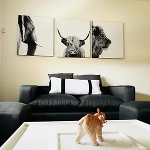  Apartamento Casa Huesped V En El Corazon De La Ciudad, A Una Cuadra De Peatonal, Con Parking Privado A 100 Metros! Argentina